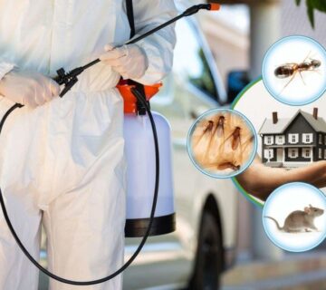 شركة-مكافحة-الحشرات-بالفجيرة-1024x576-1